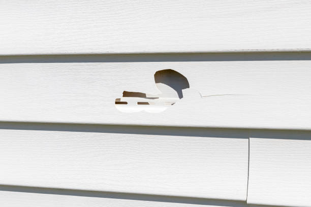 How To Choose The Right Materials for Your Siding Installation in 'Lower Grand Lagoon, FL